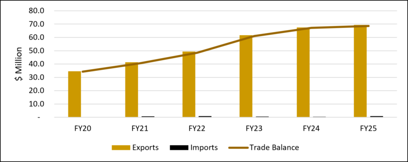 Accounting, Auditing, Bookkeeping and Tax Consulting Services Trade Scenario from FY20 to FY25