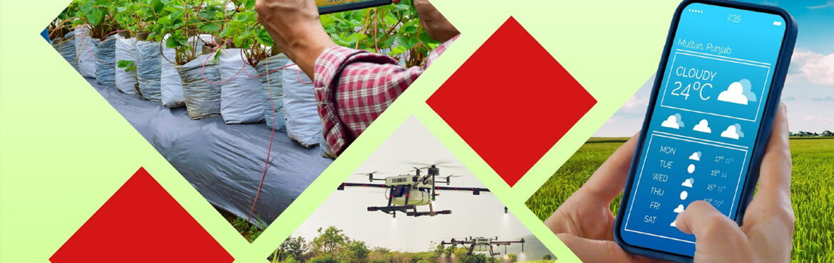 Unlocking Agri-Tech’s Potential in Pakistan: Lessons from the Field