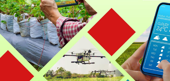 Unlocking Agri-Tech’s Potential in Pakistan: Lessons from the Field