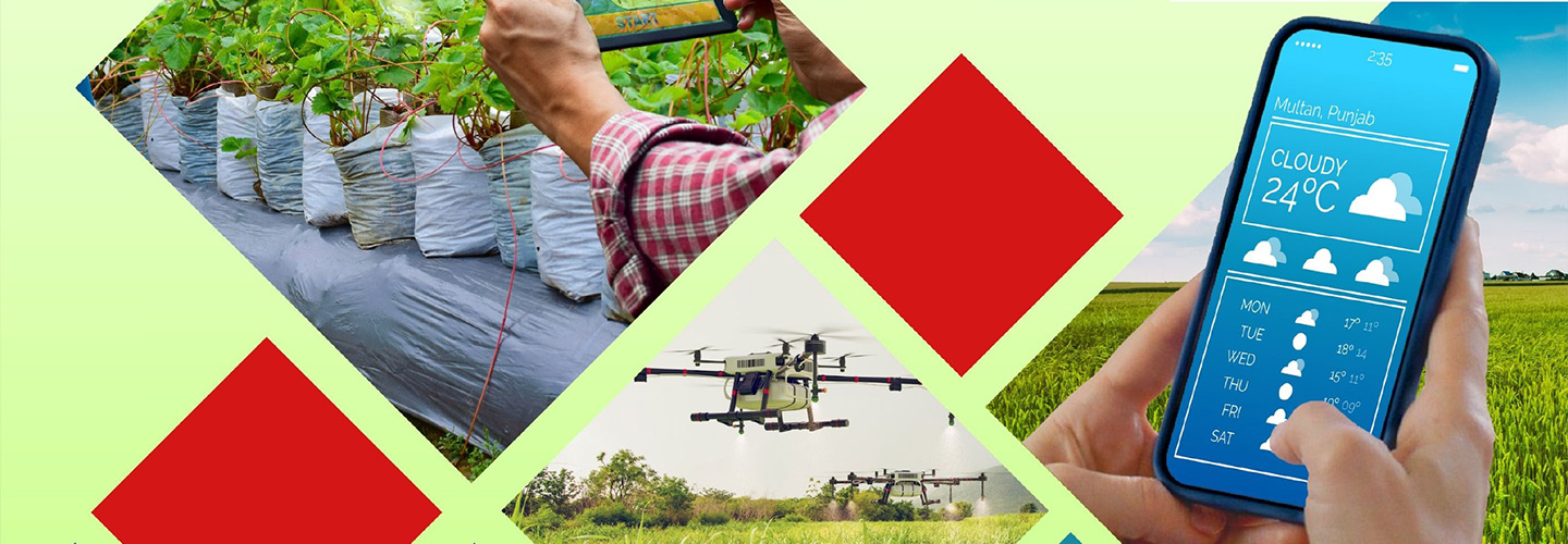 Unlocking Agri-Tech’s Potential in Pakistan: Lessons from the Field