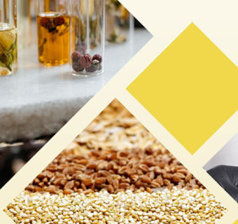 Breaking the Import Trap: A Roadmap for Pakistan’s Oilseed Sector