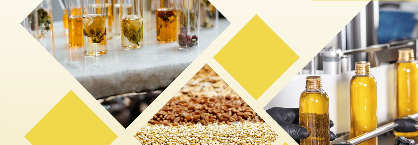 Breaking the Import Trap: A Roadmap for Pakistan’s Oilseed Sector