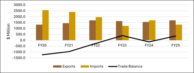 Pakistan’s Other Business Services Trade Scenario from FY20 to FY25