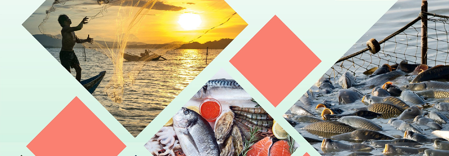 Saving our Seas, Farming our Future: Sustainable Fisheries and Aquaculture for Pakistan