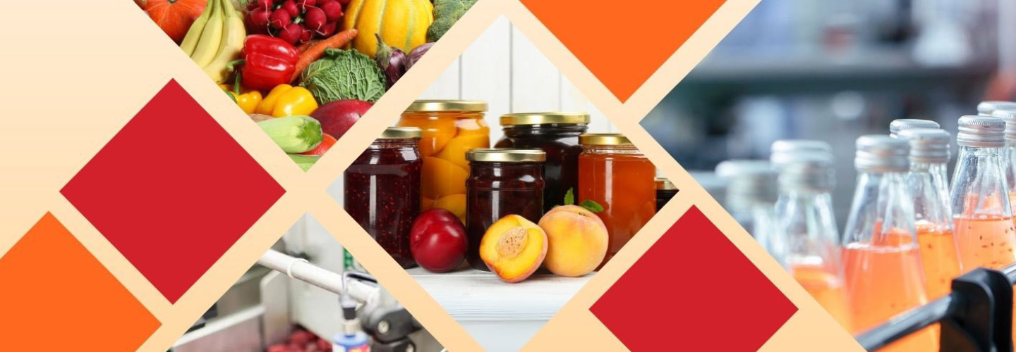 Fruit and Vegetable Pulping in Pakistan – Review and Prospects - June 2024