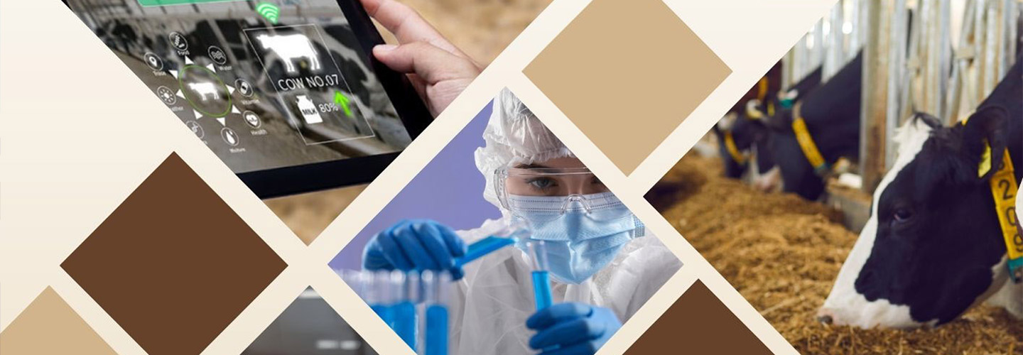 Leveraging Artificial Insemination for Enhanced Dairy and Meat Production - June 2024