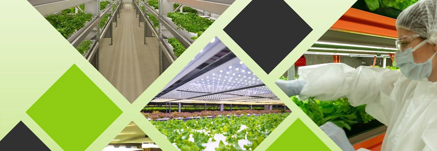 Opportunities and Challenges in Pakistan’s Vertical Farming Landscape - June 2024