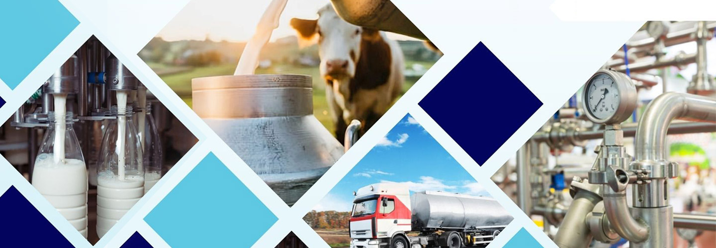 Pakistan’s Dairy Sector and the Role of Milk Collection Centers - Policy Brief - June 2024