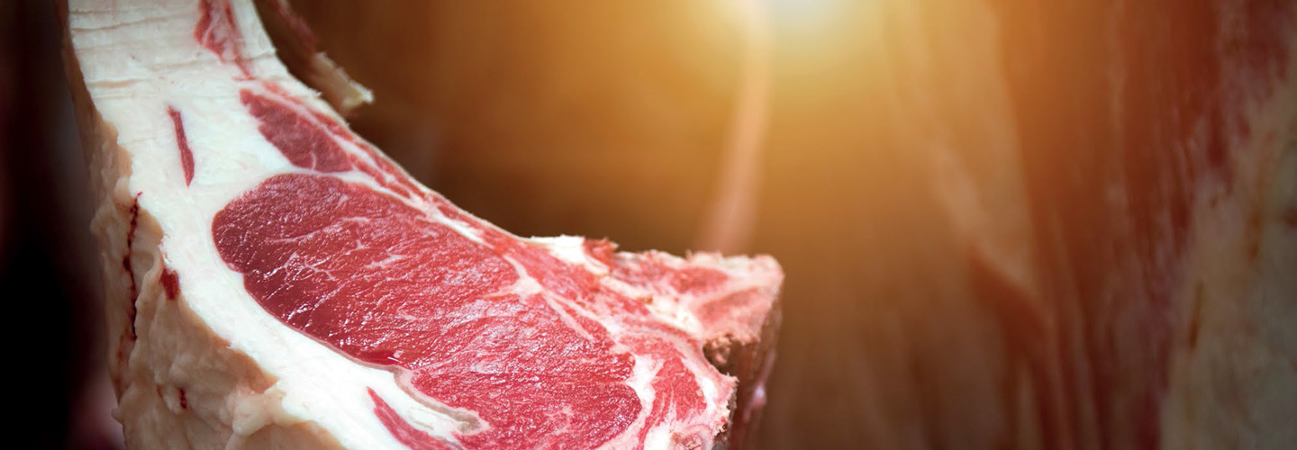 Scaling-Up Bovine Meat Exports of Pakistan