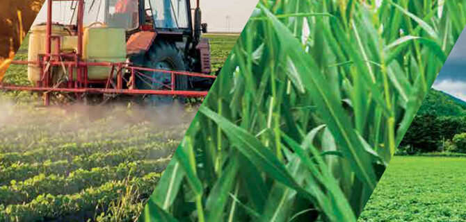 The State of Pakistan’s Agriculture 2023