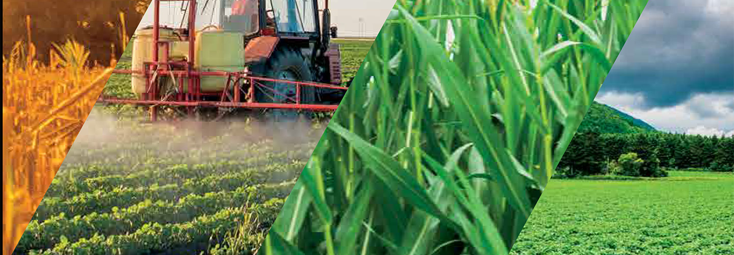 The State of Pakistan’s Agriculture 2023