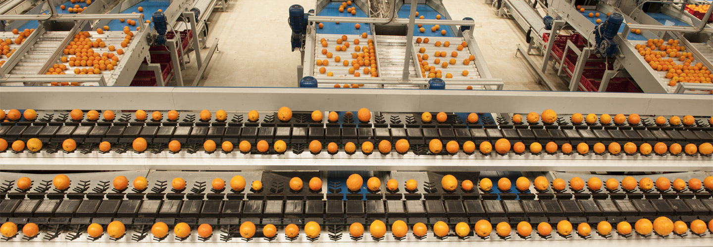 Understanding the Bottlenecks and Opportunities in Value-Added Exports of Fruits and Vegetables