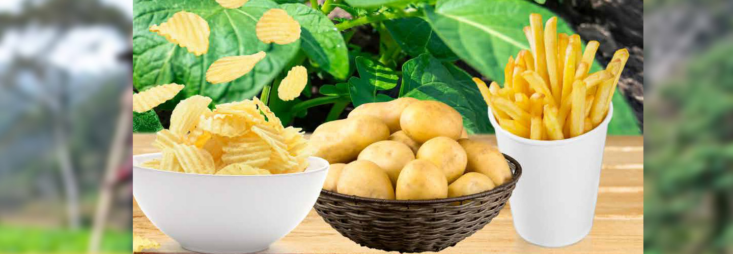 Value Added Processing of Potato in Pakistan
